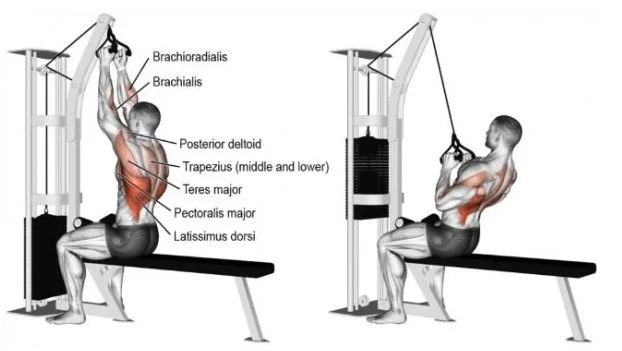 Lat Pull-Down