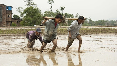 Peluang Sampingan di Desa yang Paling Gampang untuk Dilakukan