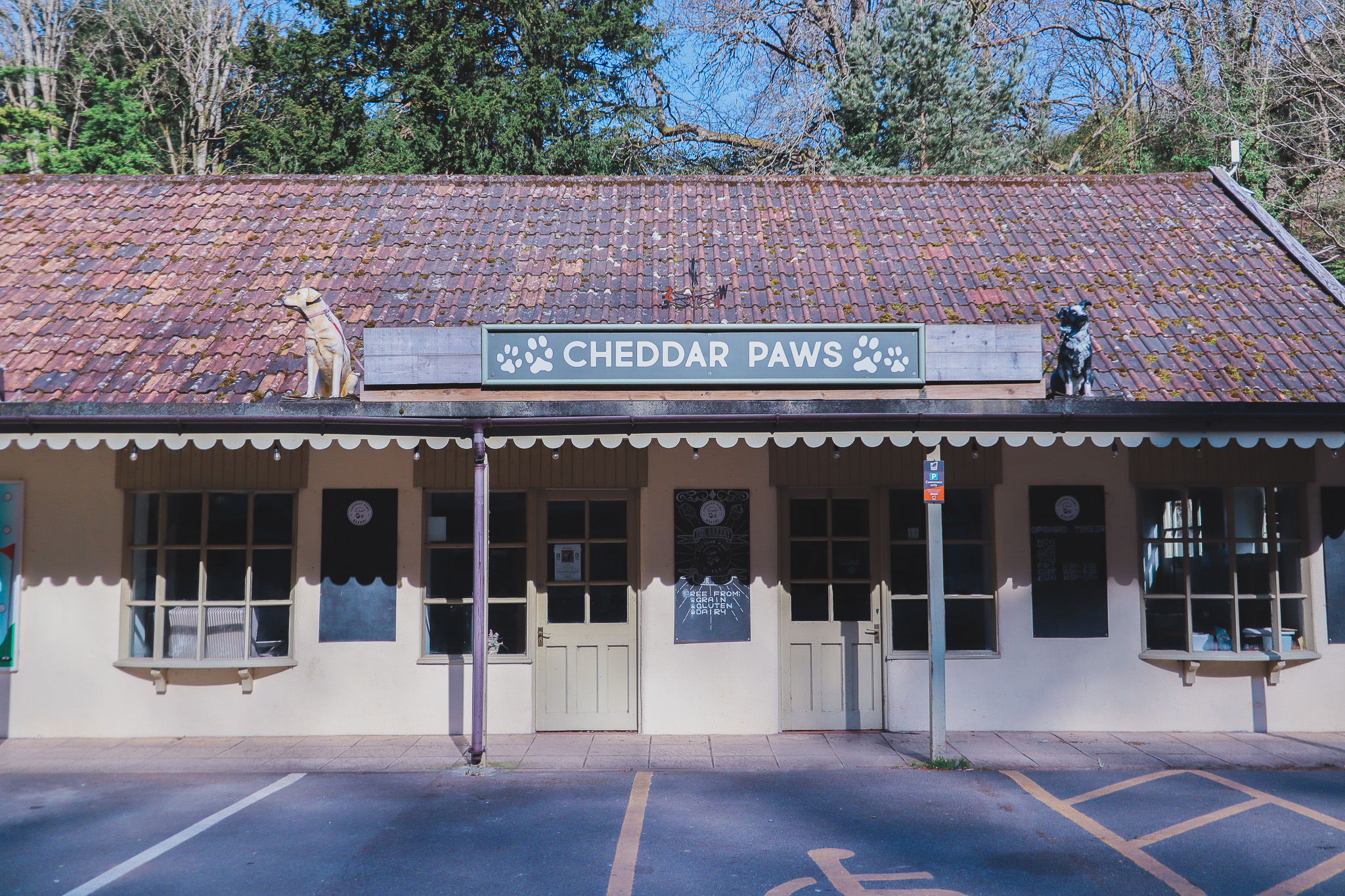 Cheddar Paws dog bakery