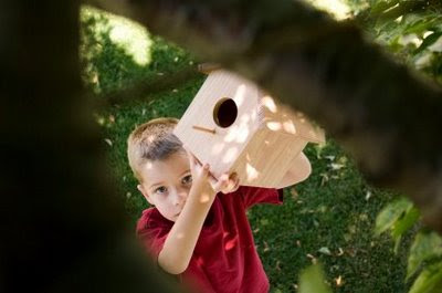 NAMC montessori summer activities woodworking boy with birdhouse