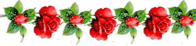 lines-flowers-and-nature-833953[8]