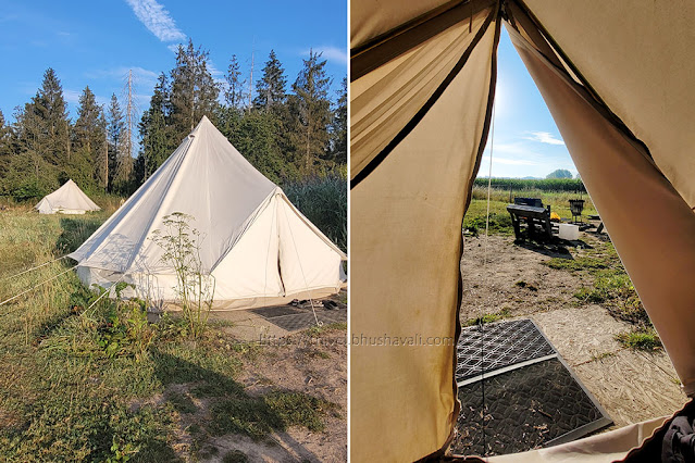 Sint-Alpaca-Rode | Best camping in Brussels | Best Glamping experience in Belgium | Camping with farm animals