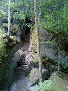 More pics of The Flume, Franconia Notch, NH (flume )