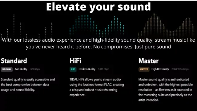 Best Way to Earn Money Online Without Investment | Lakki pages | Tidal | Elevate Your Sound