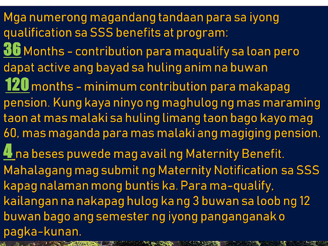 It is important that we secure our future not only for our own sake but for those who depend on us. If we cannot afford to buy private insurance policies, the government can help us to have it through the Social Security System (SSS). Local employees, businessmen, entrepreneurs, private individuals, and even overseas Filipino workers (OFW) can be a voluntary member. And as a member, it is important to know how being an SSS member could be advantageous to us. We have to know what benefits can we get and how can we avail it.  Advertisement         Sponsored Links      Here are more points that you should know if you are a voluntary member of SSS:   Members of SSS whom their payment of contributions has stopped due to lack of work or termination, they can still continue with their contributions as voluntary members.  There is no need to register anew or get a new SS number. You can use your existing SS number and pay for the current quarter. No need to pay for the previous years.    Remember the deadline for payment for your SSS contributions as a voluntary member. To know your deadline, you should refer to the last digit of your SS number.  -—If the last digit of your SS number is 1or 2, your deadline is on every 10th of the month.  —3 or 4, every 15th of the month  —5 or 6, every 20th of the month  —7 or 8, every 25th of the month  —9 or 0, every end of the month    You can access your SSS record online. You can go to their website and you may need to provide the receipt from your last payment. If you still don't have an SSS online account, it will take 24 hours to activate it.  SSS online can provide information about your contributions or loan status if you have any and how much contributions you already have.    Important digits that you need to remember for your qualification in SSS benefits and programs:    36 months of contributions to qualify for loans with consistent payments for the previous 6 months.    120 months minimum contributions to have a pension. The bigger your contribution especially in the last 5 years for you to get a bigger pension.     Maternity benefit could be availed 4 times. It is important that you promptly advise SSS of your pregnancy. You can even do the notification via text message.  To be qualified to avail you need to be paying at least 3 months within the last 12 months before the semester of your pregnancy or miscarriage.     *For SSS members with outstanding unpaid loan balances, there is a Loan Condonation which started last April 12, 2018, and will last until October1, 2018. It is a good opportunity for those who seek loan restructuring and to lessen the penalty.  Please visit the SSS website or any of their offices near your area.    READ MORE: It's More Deadly In The Philippines? Tourism Ad In New York, Vandalized    Earn While Helping Your Friends Get Their Loan    List of Philippine Embassies And Consulates Around The World    Deployment Ban In Kuwait To Be Lifted Only If OFWs Are 100% Protected —Cayetano    Why OFWs From Kuwait Afraid Of Coming Home?   How to Avail Auto, Salary And Home Loan From Union Bank