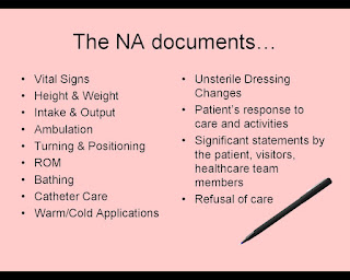 Examples of What a Nurse Aide Documents