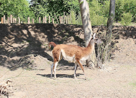 Zoo Leipzig