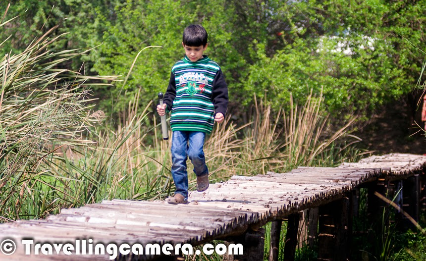 Last weekend, my nephew Nishant visited us in Noida and had a plan to visit Okhla Bird Sanctuary. We have been planning this visit for a long time and idea was to visit the sanctuary in migration period, which is mainly Dec/Jan. But this visit in March first week was also a very good experience. Let's check out this Photo Journey to experience the place and know more about it.I visited Okhla Bird Santuary last year in January with my office friends, during our photography course and that was first time when I realized that we have a very good place to explore in Noida. So on Sunday morning, we headed for the sanctuary which has an entry gate from Noida side. This gate is very close to Mahamaya Flyover. If you are coming from Kalindi Kunj, this gate will be on your left, but just before Mahamaya Flyover. It opens at 8am and closes at 5pm. We checked online and timings for Sunday were mentioned - 9am-3pm. We confirmed from the ticket counter and there is no change in timing on Sundays.This place is located on one side of Yamuna River. We took our car inside. Ticket for car is 100 Rs and it's 30 rs per person for a day. Just after entering we see these huge water patches on our left with different types of colorful birds floating around. Birds were comparatively less in the month of march but definitely you see major chunk of the water covered with birds during the month of Jan.Nishant was all set with his Terrestrial Telescope and we had to stop the car at different places, to identify the birds and a keep a record. In a hurry, we forgot to pick the book on birding which helps in identifying  birds. We saw Northern Pintails, Red Wattled Lapwings, Intermediate Egret, Kingfisher, Eurasian Wigeon, peacock, maina, cormorants, Black kites, Purple Swamphen, sun-birds and many others, which are yet to be identified by us :) .There were quite a few Black Winged Stilts around these water bodies, most of them continuously walking and picking something from water.Spot-billed Ducks were having fun during morning bath at Okhla Bird Sanctuary. There are small pond around the shoreline, where groups of birds were having fun. While writing this, I realized that I should have made some videos as well, wherein some of the birds were jumping on each other by spreading their wings. Spot-billed Ducks can also be seen in the lake at Hauz Khas Village in Delhi.Sorry for bad quality of photographs, as all of these are cropped versions from long distance shots. We noticed few Kingfishers around us and could capture one of them sitting on the long grass around water ponds. The whole Eco-system inside Okhla Bird Sanctuary kept us involved through one or other way. After a while we parked our car on the other extreme. There is a huge tree with few rooms inside the sanctuary, where we could park the car. From this point, we had two options to reach two different watch-towers.We got down form the main road inside the bird sanctuary and had to cross a bridge made up of bamboo. Above photograph - Nishant crossing the same bridge I just mentioned. It's quite long and interesting spot to pose. Now onwards, we had to walk till the watchtower through a narrow path surrounded by high grass with beautiful sounds of birds. There were lot of small and active birds around this grassland. We were keeping closer eye around us and then we experienced something unexpected.One of us noticed a small antelope deep inside the grass and soon after he came out to the region where all of us could see him. He kept looking at us for a long time and suddenly a group of 10 antelopes appeared in front of us. This was amazing. We hadn't expected this :). After spending some time around this place, we moved towards the watchtower. The group of antelopes were walking parallel to us and as we climbed to the top of watch-tower, they started crossing the water body. At this point of time, we were not sure if they would be able to cross the shallow water or not. There were few birds floating on this water, so we were suspecting that water would be deep, but probably they were more experiences and finally reached the other side. From their walk, it seemed quite difficult.We spent around 20 minutes on the watchtower and made best use Terrestrial telescope. Nishant was carrying it all the time and made sure that everyone gets a turn when he noticed something worth viewing/experiencing. We noticed that there is a specific etiquette to be followed when using the watch-tower. As we approached the watch-tower, we could see that it was occupied. But as we reached it the people who were using the watch-tower climbed down so that we could also experience it. We didn't have to ask for it and we also followed the same protocol.While walking back towards the car, we heard a very strange sound which was coming from the marshland with high grass. The sound was very different and we started imitating the sound :). It was Purple Swamphen which usually makes loud, quick, bleating and hooting calls. These birds are considered as noisy during their breeding season. Purple Swamphen can fly long distances which doesn't match with it's size and the way this bird behaves on ground.This visit was much more rewarding than we had anticipated. Even though most of the migratory birds had flown away by this time, this was a blessing in disguise because we were more aware of the other inhabitants of the sanctuary. For example, the resident birds, of which also a vast variety is present.