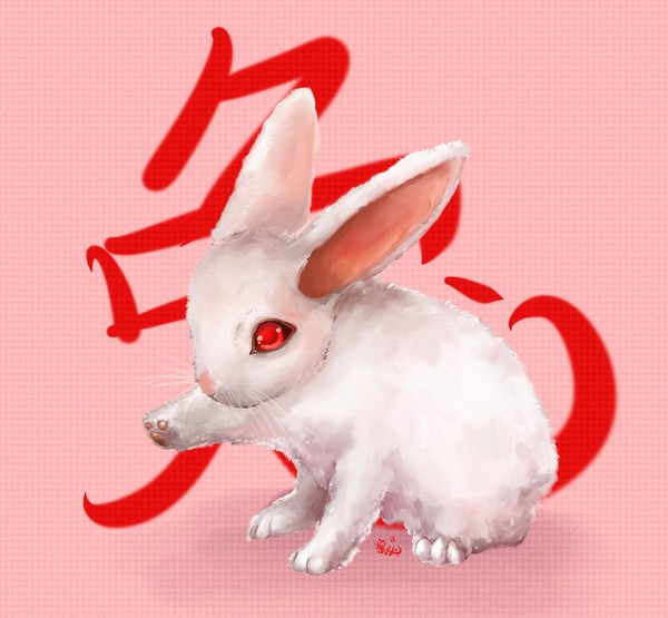 Happy Chinese New Year everyone~ The year of the Rabbit begins :3