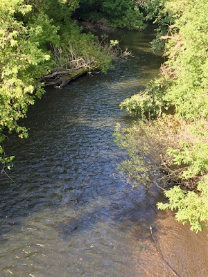 N. Branch, Sunrise River, pretty, but not a trout stream