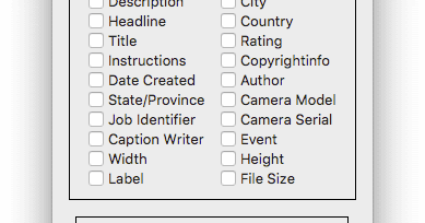 Extracting Metadata to .CSV