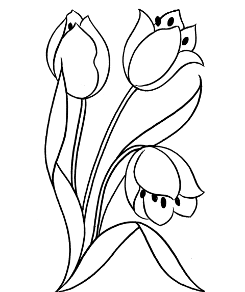 Pictures Of Flowers How To Draw
