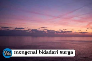 Mengenal Bidadari Surga Sebagai Hadiah Kemenangan