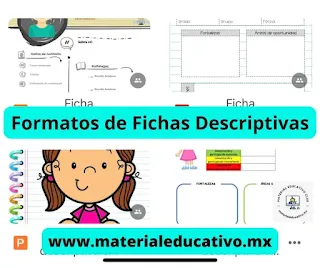 Formatos de Fichas Descriptivas para Primaria