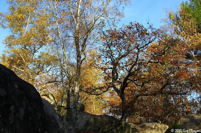 Automne aux Grands Avaux, Essonne, (C) 2015 Greg Clouzeau