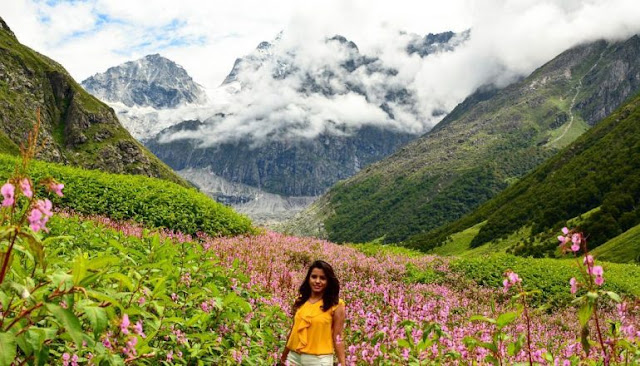 Valley of flowers Trek monsoon images