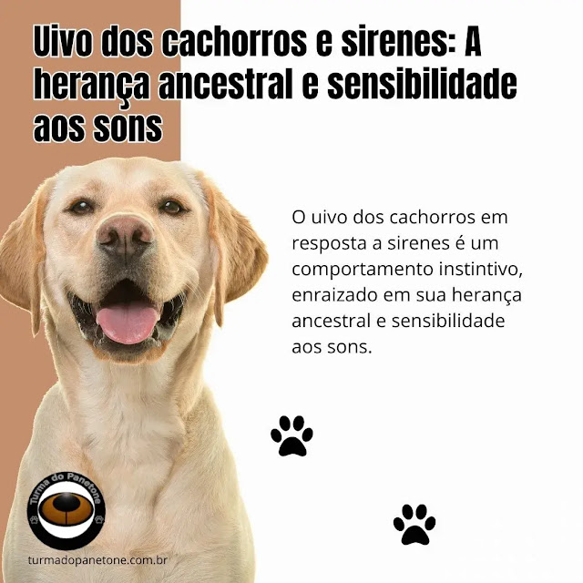 Uivo dos cachorros e sirenes: A herança ancestral e sensibilidade aos sons