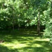 View album