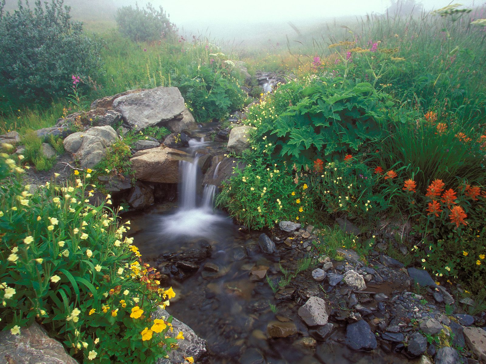 gambar wallpaper pemandangan air terjun Gifford Pinchot National ...