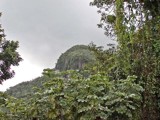 El Yunque National Forest Puerto Rico