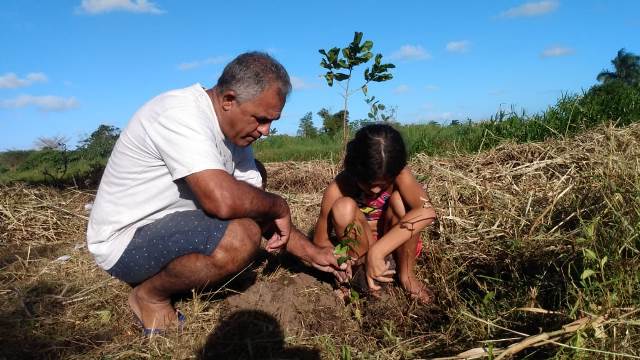 Plantio de Ingá-Feijão no Viveiro da Horta Municipal da Ilha tem a meta de produzir mudas para reflorestamento