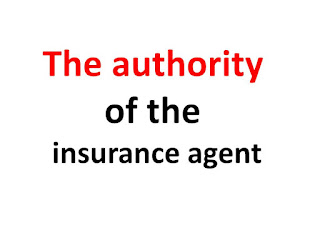 Property & Casualty Insurance