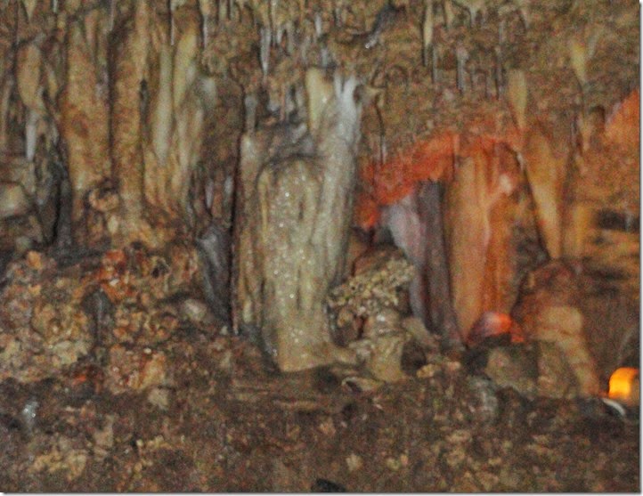 DSC00410