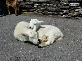 visite de L'anneau de Kerry Irlande