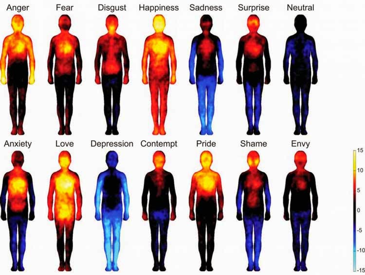 Wondering where you feel emotions in your body? These heat maps will shed light on the subject