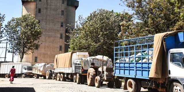 Trucks loaded with maize queue to deliver the produce to the National Cereals and Produce Board, Eldoret