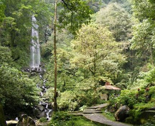 wisata Yang Indah Di Sertai Cerita Legendanya Asal Usul Nama Air Terjun Kakek Bodo Pasuruan Jawa Timur