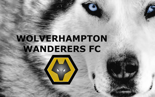Wolves FC football wallpapers ~ Football wallpapers ...