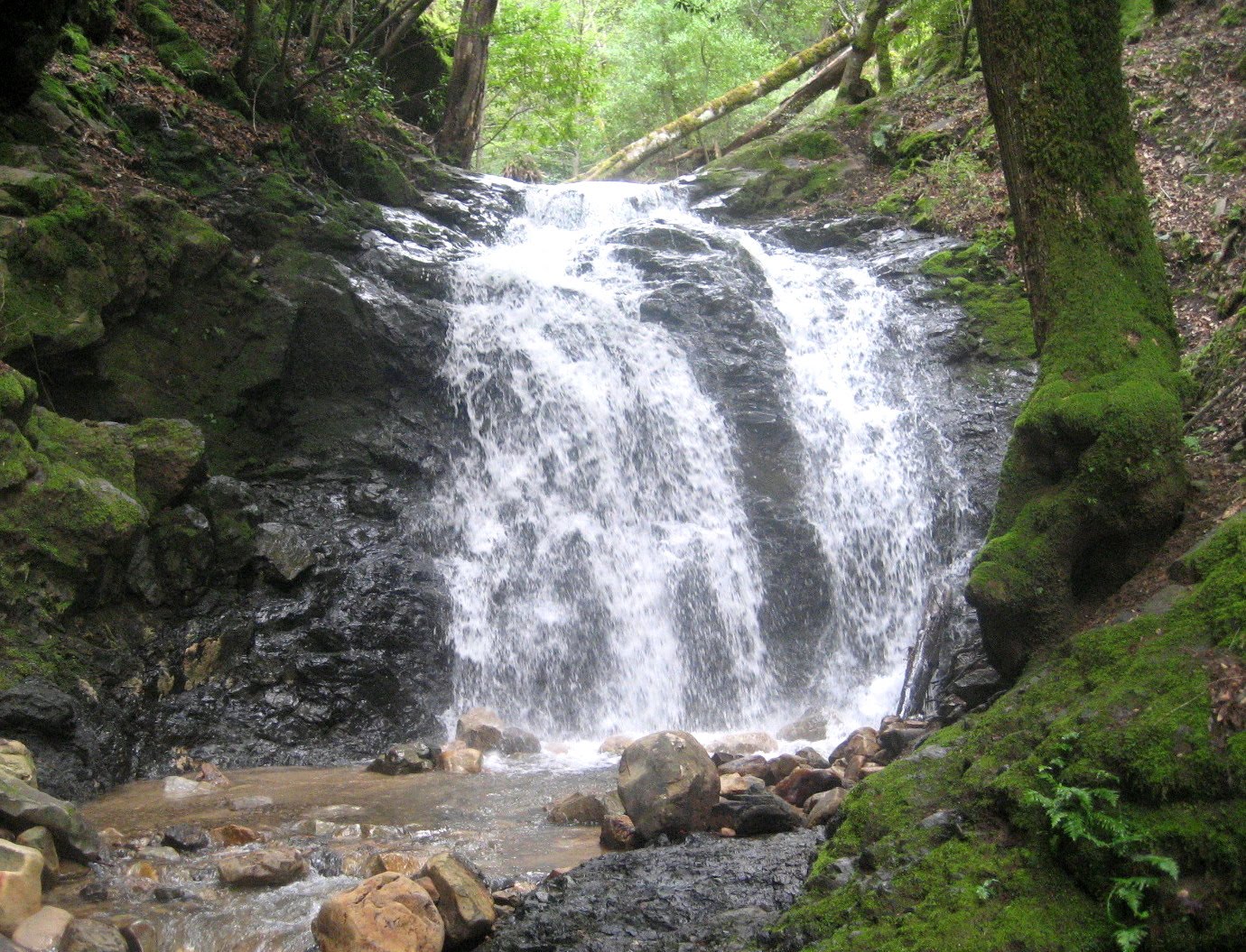 Santa Cruz Mountains Trails: The Waterfalls of Uvas Canyon