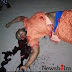 A Student Killed In Adeniran College Of Education Cult Battle