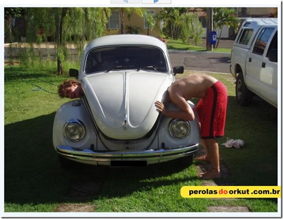 Perolas Orkut (8)