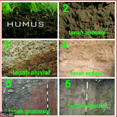 Jenis tanah dan gambarnya