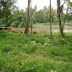 322800 Sq.Ft Residential Land / Plot for Sale (60 cr), Talegaon Village, Shahapur, Mumbai Thane.