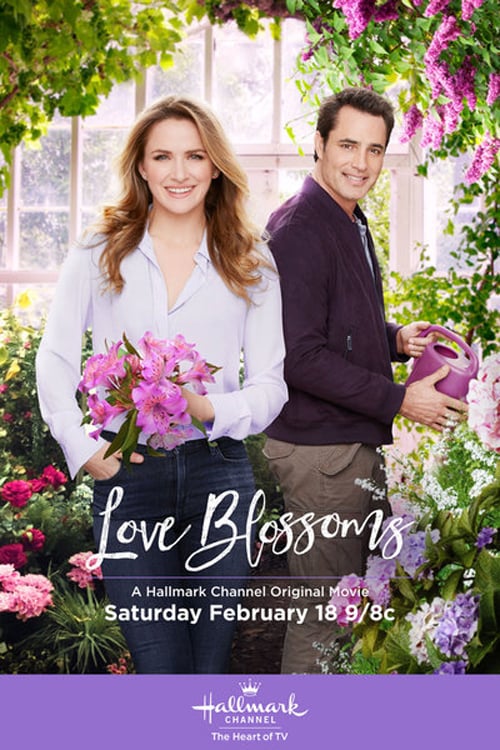 [HD] Love Blossoms 2017 Pelicula Online Castellano