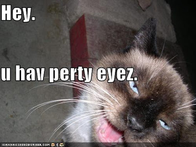 It's always time for a lolcat
