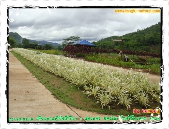photo magic