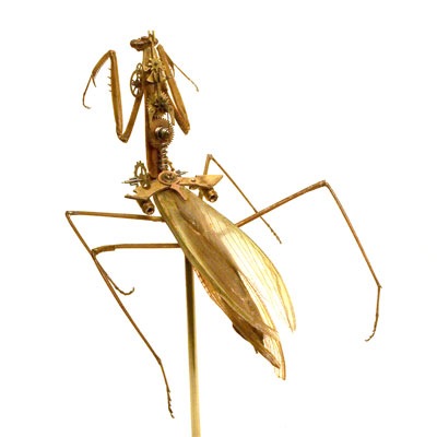 eletricbugs (11)