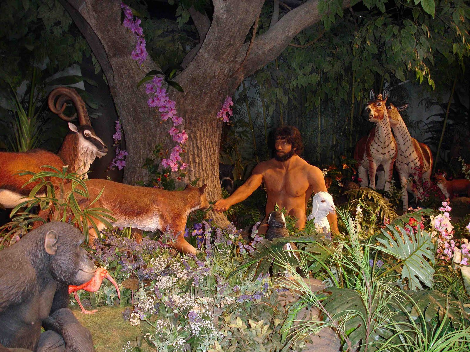had a beautiful Garden of Eden in which Adam was naming the animals ...