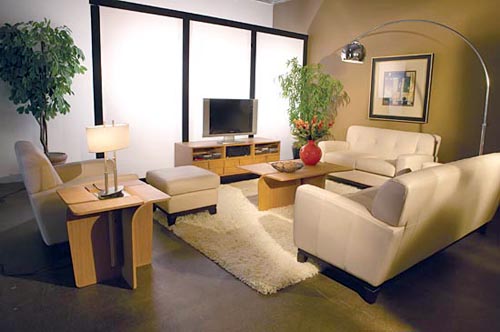 Small Living Room Ideas