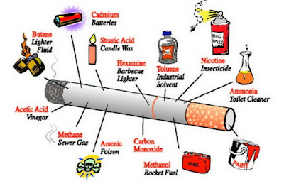 bahaya rokok bagi kesehatan tubuh manusia