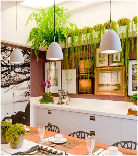 Beautiful kitchen with paintings and plants