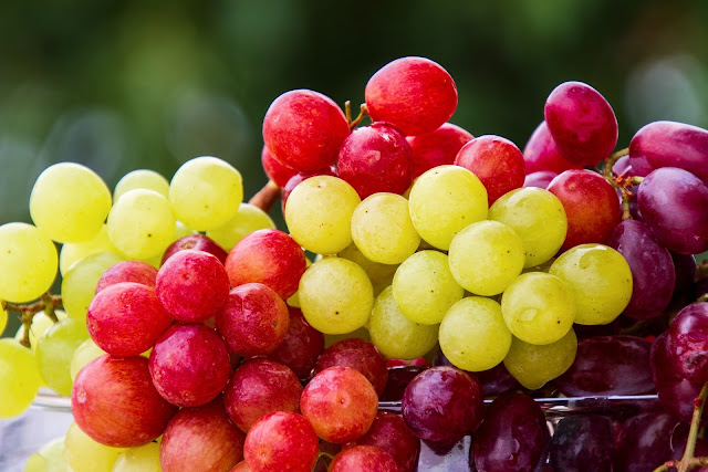 how many calories do green grapes have - grapes of wrath sea grapes, muscadine, black grapes, red grapes, muscadine grapes, grape tomatoes, concord grapes, green grapes, frozen grapes, white grapes, moon drop grapes, purple grapes, candy grapes, muscat grapes, champagne grapes, grapeleaves, jelly grapes, seed grapes, grapes, cotton candy grapes, grape vine, grape fruit, vitis labrusca, seedless, wild grapes, grapes in pregnancy, ruby roman, cherry and grapes, kyoho, grape and fig, taffy grapes, mustang grape, grapes for weight loss, grape stardew valley, grape farm, himrod, grapes for pregnant, fox grapes, riverbank grape, vitis arizonica, grapes and pregnancy, frozen grapes with jello, grape apple, eating grapes at night, grape farm near me, swenson red, eating grapes, orange grapes, grape diet, grapes are rich in, grapes garden, grapes at night, a grape, duck grapes, fairy floss grapes, reds grape apple, frontenac grape, ripe grapes, moldy grapes, feeding grapes, grapes and olives, raisins are dried grapes, grapes coles, grape and vine, summer grape, ifg grapes, solaris grape, jolly grape, frost grape, 100 grams of grapes, grapes healthy, sulphur dioxide grapes, washing grapes, healthiest grapes, grape vine care, black grapes for diabetes, grape names, are grapes, grapes for pregnant women, green grapes in pregnancy, 100g of grapes, grapes for breakfast, grapes in smoothies, renfrow grapes, grapes and milk, black rot grapes, fried grapes, scarlet royal grapes, valiant grape, gmo grapes, fig and grape, olives and grapes 11, refrigerate grapes, water grape melon, black grapes for weight loss, of grapes, arra 15 grapes, cleaning grapes, allison grapes, do ducks like grapes, marquette grapes, craving grapes, grapestreet, grapes in early pregnancy, can cats eat grapes, are red grapes good for weight loss, do grapes cause belly fat, how many calories do green grapes have, are grapes high in potassium, are grapes healthy for weight loss, are grapes acidic or alkaline, grapes nutrition facts 100g, grapes calories, grapes of wrath, grapeseed oil, grapes bad for dogs, grapes leaves, grapes vine, are grapes good for diabetics, are grapes healthy, grapes and cheese, The_Grapes_of_Wrath,