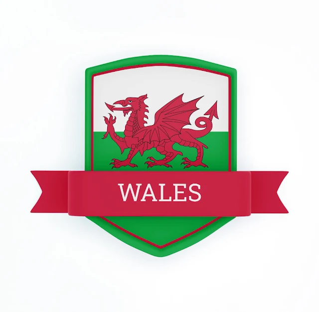 Snowsill Devoted to Ensuring Robust Representation for Wales in Lions Squad