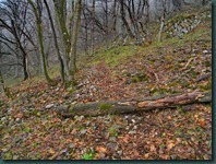DSCN7855