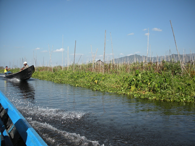 floating gardens inle lake