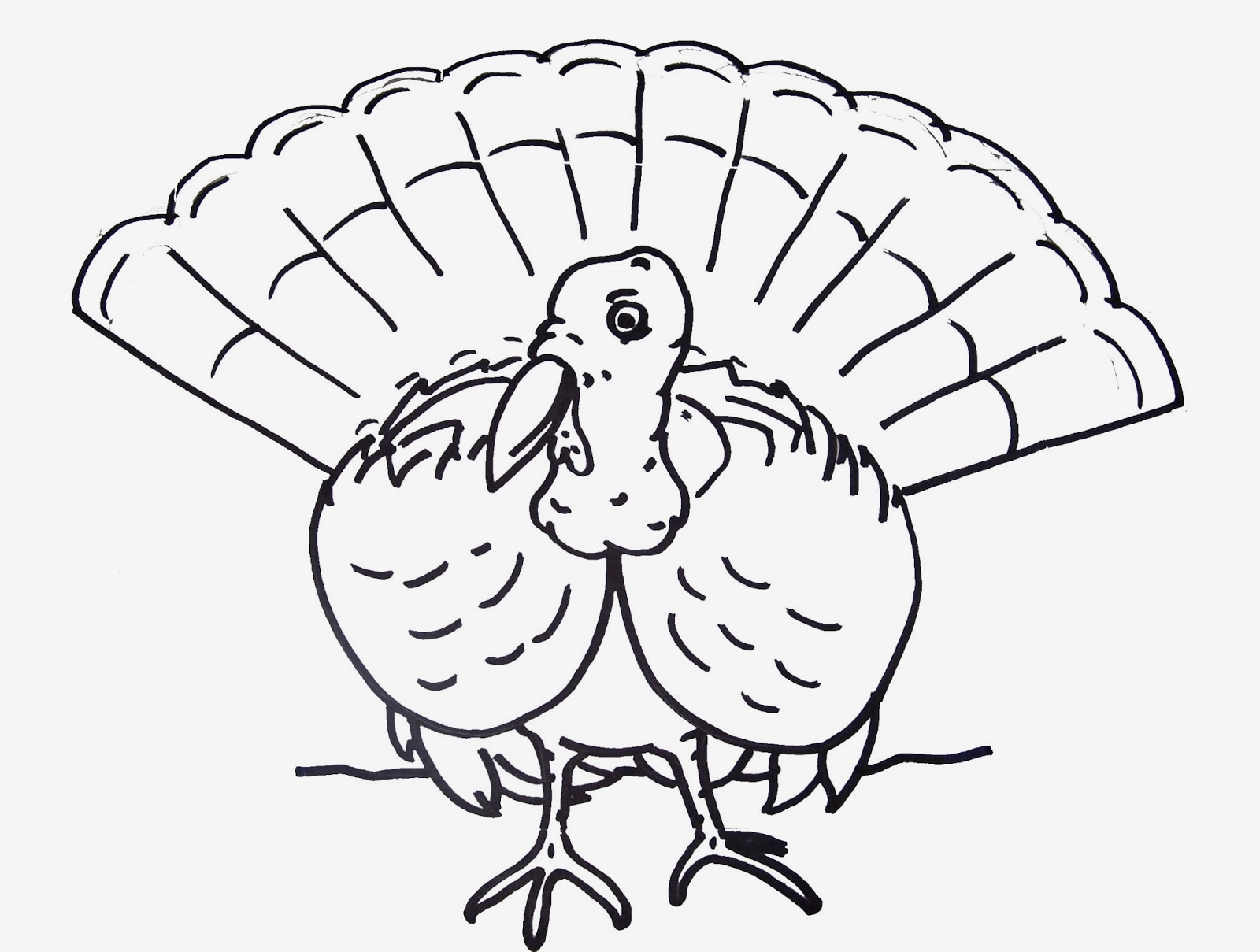 Realistic Turkey Coloring page Free Download Printable